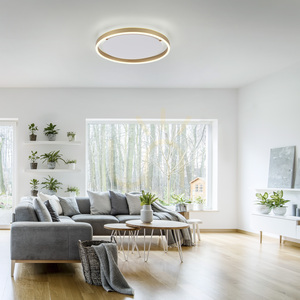 RITUS Plafond 15391-60 Mosaz 1xLED small 2