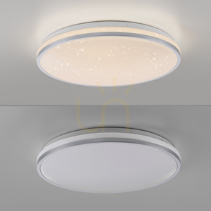 Stropní LED svítidlo Zuma Line KYLE 14294-21 stříbrné, 38 cm, 23,5 W small 12