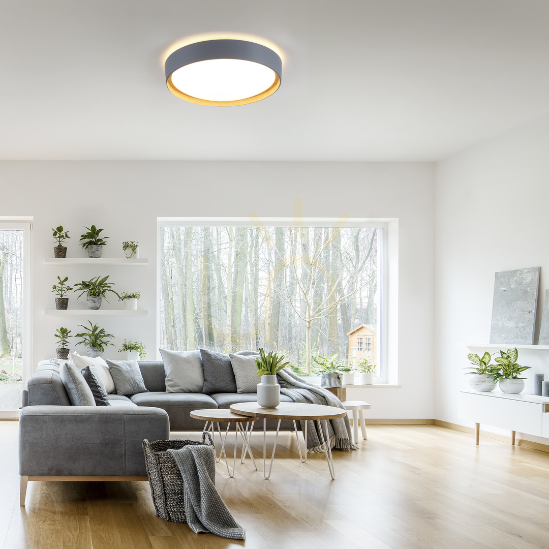 Náhled Plafond EMILIA 14347-15 Grey 1xLED Plafond EMILIA 14347-15 Grey 1xLED
