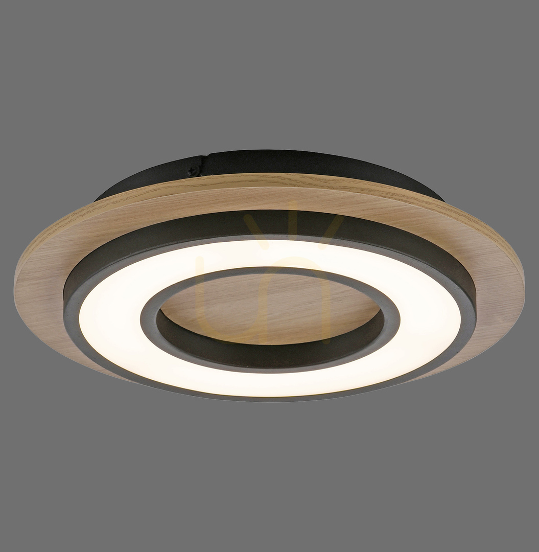 Kontrola TOLA plafond 14560-18 Black 1xLED TOLA plafond 14560-18 Black 1xLED