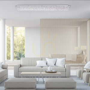 LED přisazené svítidlo Sparkle 14672-55, stříbrné, 100 × 25 cm, 20 W 2160 lm, nastavitelná barva 2700–5000 K small 2