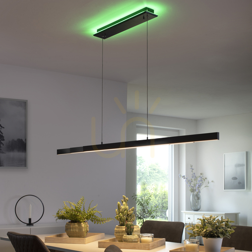 Kontrola Závěsné LED svítidlo Paul Neuhaus Q-ARIAN 2569-13, antracit, CCT RGB