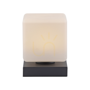 Stolní lampa DADOA 4036-13 Anthracite 1xLED small 11