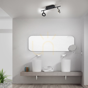 Stropní bodové svítidlo Paul Neuhaus SILEDA 6781-13 antracitové 2xLED small 2