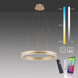 Závěsné LED svítidlo Paul Neuhaus Q-VITO 8411-60, matná mosaz, Ø 59 cm 10 Závěsné LED svítidlo Paul Neuhaus Q-VITO 8411-60, matná mosaz, Ø 59 cm small 10