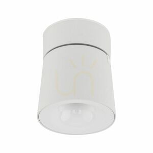 Kyoto White CCT 12 W small 5