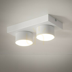 Stropní svítidlo Brix White 2 × Xgx53 small 1