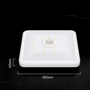 Bílé LED stropní svítidlo V-TAC VT-81003 CREE 12 W 1100 lm CCT se senzorem PIR 25 cm small 6