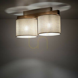 Stropní svítidlo Viga Shade, 2 x E27 small 2