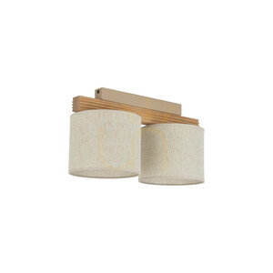 Stropní svítidlo Viga Shade, 2 x E27 small 0