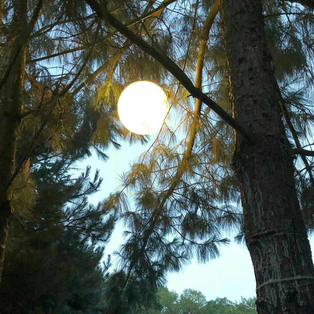 Náhled Venkovní závěsná lampa s.luce Globe bílá 30 cm IP54 Venkovní závěsná lampa s.luce Globe bílá 30 cm IP54