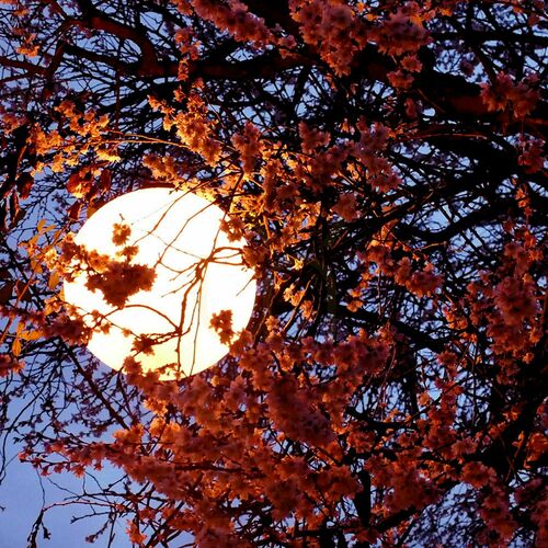 Kontrola Venkovní závěsná lampa s.luce Globe bílá 30 cm IP54