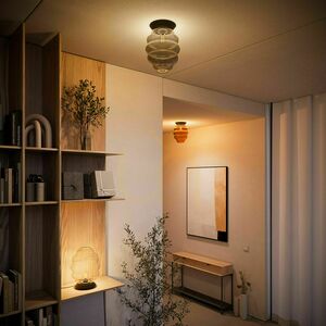 Stropní svítidlo s.luce Echos sklo černé E27 25 cm 5 Stropní svítidlo s.luce Echos sklo černé E27 25 cm small 5