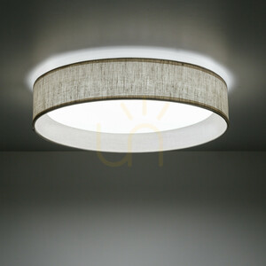 LED stropní svítidlo TK-Lighting DEMI LEN 11856, béžové, Ø30 cm, CCT small 1