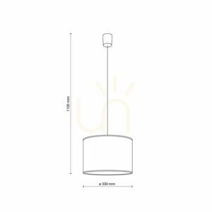 Závěsné svítidlo TK-Lighting DINOZAURY 10660, E27, 30 cm small 7