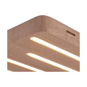 Stropní svítidlo / nástěnné svítidlo Neele, olejovaný dub, 5xLED, 19,5 W, 34 cm 3 Stropní svítidlo / nástěnné svítidlo Neele, olejovaný dub, 5xLED, 19,5 W, 34 cm small 3