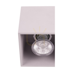 Stropní svítidlo Nicold, 1xGU10, Max. 35 W, stříbrná, 10 cm small 3