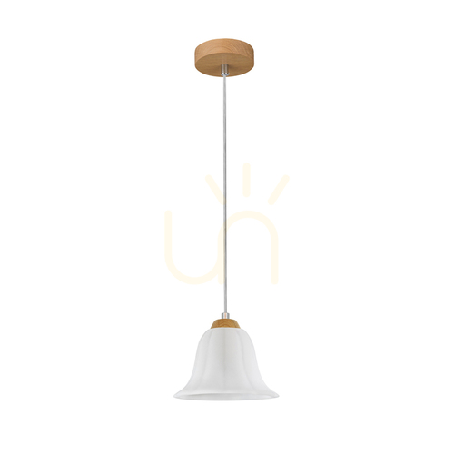 Kontrola Závěsné svítidlo Anna, 1xE27, Max. 60 W, olejovaný dub / průhledný PVC kabel / bílé skleněné stínidlo, Ø 17,5 cm