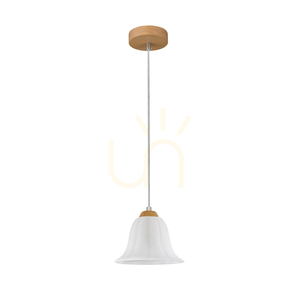 Závěsné svítidlo Anna, 1xE27, Max. 60 W, olejovaný dub / průhledný PVC kabel / bílé skleněné stínidlo, Ø 17,5 cm small 0