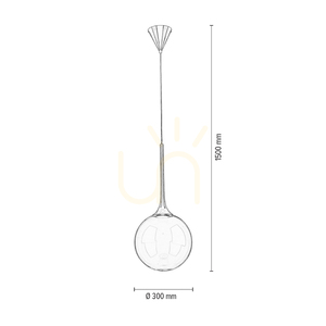 Závěsné svítidlo Ballare, včetně 1 ks LED 2700 K 9 W, černý kov / čirý skleněný stínidlo, Ø 30 cm small 3