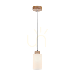 Závěsné svítidlo Bosco, 1xE27, Max. 60 W, bříza / průhledný PVC kabel / bílý skleněný stínidlo, Ø 10 cm small 1
