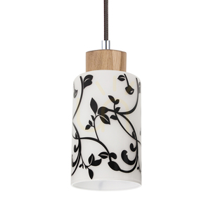 Závěsné svítidlo Bosco, 4xE27, Max. 60 W, olejovaný dub/antracit, opletený kabel/černá a bílá, skleněný stínidlo, 75 cm small 1