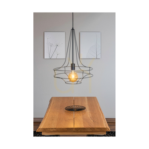 Závěsné svítidlo Casa Rina, 1xE27, Max. 60 W, černý kov / černý PVC kabel, Ø 48 cm small 2