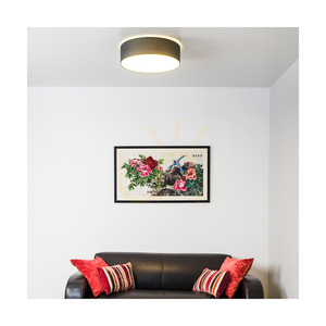 LED stropní svítidlo Spot Light Josefina 4782802, antracitové/bílé, Ø28 cm, 13 W, 2700 K small 1