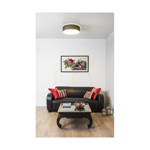 Stropní svítidlo Josefina, 1xLED, 2700 K, 18 W, bílý kov / antracitový stínidlo, Ø 38 cm small 1