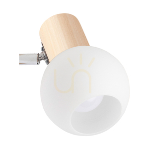 Nástěnné svítidlo Spot Light Karin 2231160 – bříza, bílé sklo, 1×E14 small 1