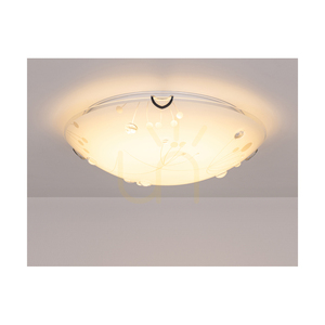 Stropní svítidlo Maryland, 1xLED, 2700 K, 30 W, chromovaný kov / bílý skleněný stínidlo, Ø 50 cm small 4