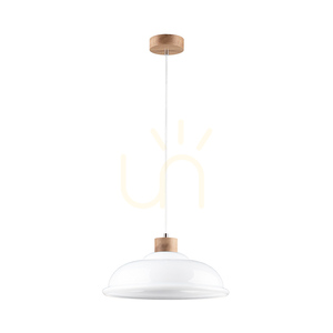 Závěsné svítidlo Molde, 1xE27, Max. 60 W, olejovaný dub / průhledný PVC kabel / bílé skleněné stínidlo, Ø 34 cm small 0