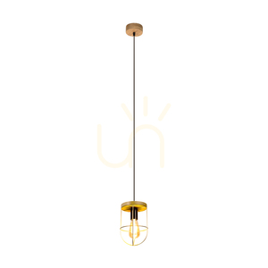 Závěsné svítidlo Netuno, 1xE27, Max. 60 W, borovice mořená do hněda / černý kov / černý PVC kabel / zlatý kovový stínidlo, Ø 15 cm small 1