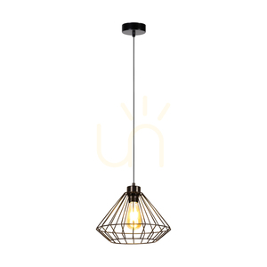 Závěsné svítidlo Raquelle, 1xE27, Max. 60 W, černý kov / černý PVC kabel / černý kovový stínidlo, Ø 30 cm small 1