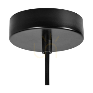 Závěsné svítidlo „Swan“, 1xE27, Max. 60 W, černý kov / černý PVC kabel / černý kovový stínidlo, Ø 30 cm small 1