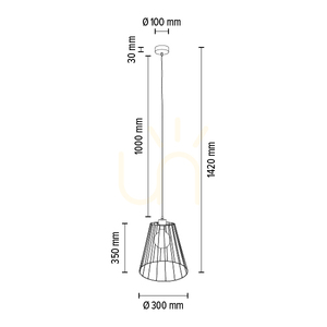 Závěsné svítidlo „Swan“, 1xE27, Max. 60 W, černý kov / černý PVC kabel / černý kovový stínidlo, Ø 30 cm small 2