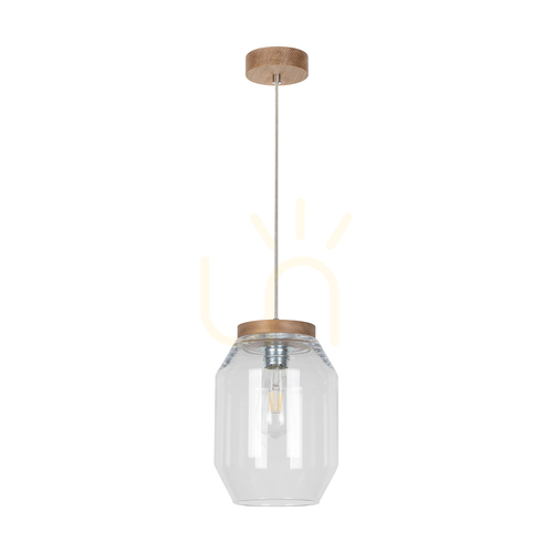 Kontrola Závěsné svítidlo Vaso, 1xE27, max.. 60 W, olejovaný dub / průhledný PVC kabel / průhledný skleněný stínidlo Ø 19,5 cm