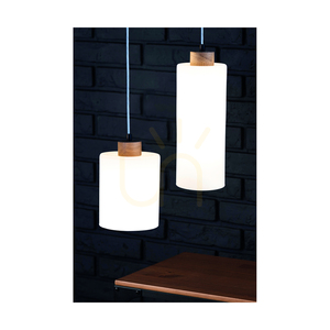 Závěsné svítidlo Zefir, 1xE27, Max. 60 W, olejovaný dub / průhledný PVC kabel / bílé skleněné stínidlo, Ø 12 cm small 2
