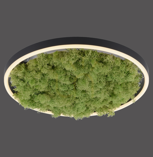 Kontrola GREEN RITUS 15391-66 Stropní svítidlo, béžové, 1xLED