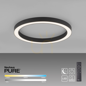 Stropní svítidlo Paul Neuhaus PURE Lines Round 6309-13, grafitová small 10