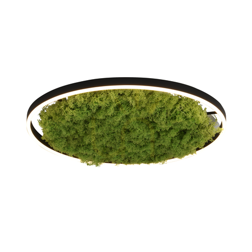 Kontrola GREEN RITUS 15392-66 Béžové stropní svítidlo, 1xLED
