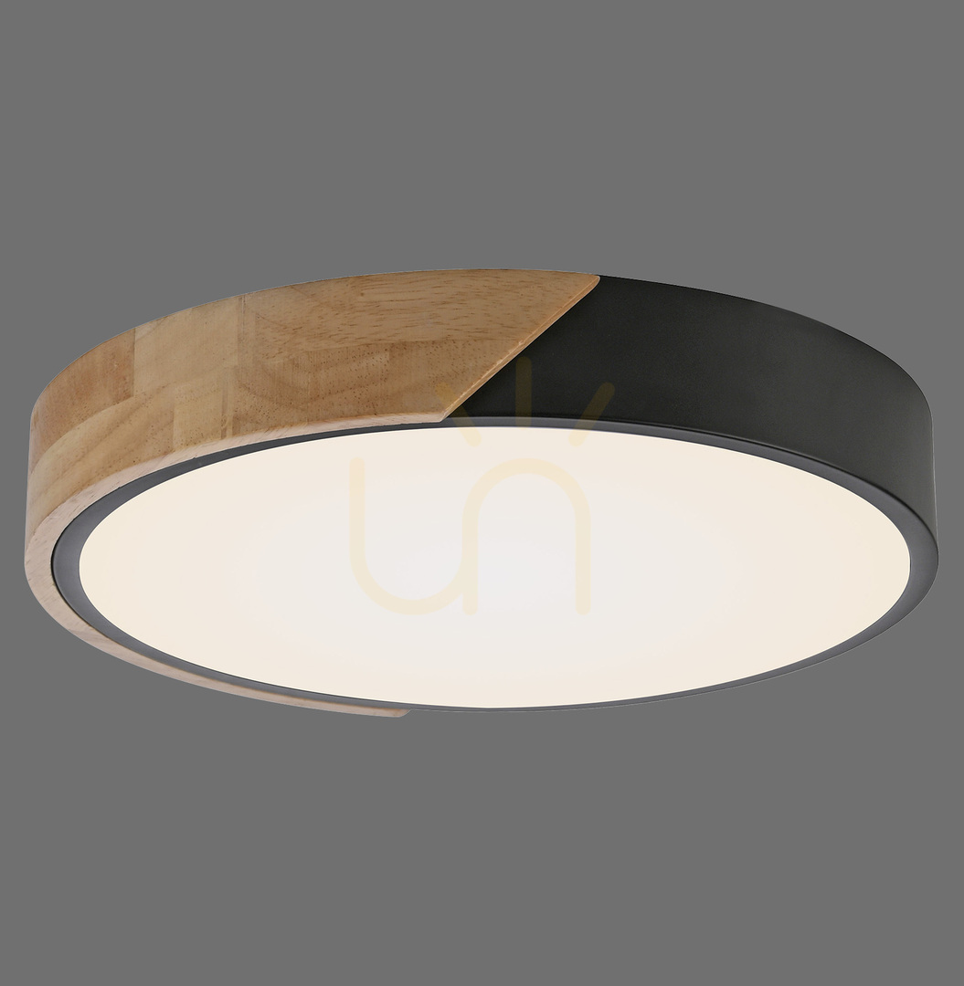 Kontrola BILA 14288-18 Černé stropní svítidlo, 1xLED BILA 14288-18 Černé stropní svítidlo, 1xLED