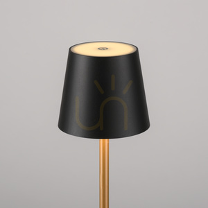 Stolní lampa EURIA 19250-68, černá, 1xLED small 8