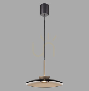 PURE E-MOON 2195-97 Hnědé závěsné svítidlo s 2 LED diodami small 18