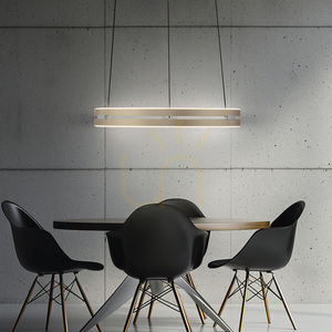 PURE E-LOOP 2550-60 Mosazné závěsné svítidlo se 2 LED diodami 14 PURE E-LOOP 2550-60 Mosazné závěsné svítidlo se 2 LED diodami small 14