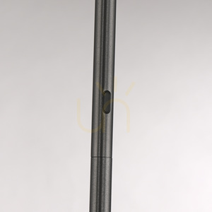 Stojací lampa Paul Neuhaus PURE Vitrum 481-15, šedá, 2xLED small 12
