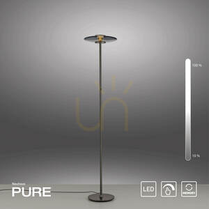 Stojací lampa Paul Neuhaus PURE Vitrum 481-15, šedá, 2xLED small 13