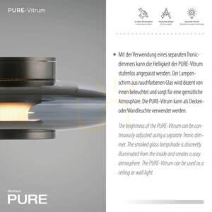 Nástěnné a stropní LED svítidlo Paul Neuhaus PURE VITRUM 6082-15, šedé, kouřové sklo, 22 cm small 3