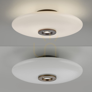 PURE VITRUM 6083-34 Hnědé stropní svítidlo, 2xLED small 16