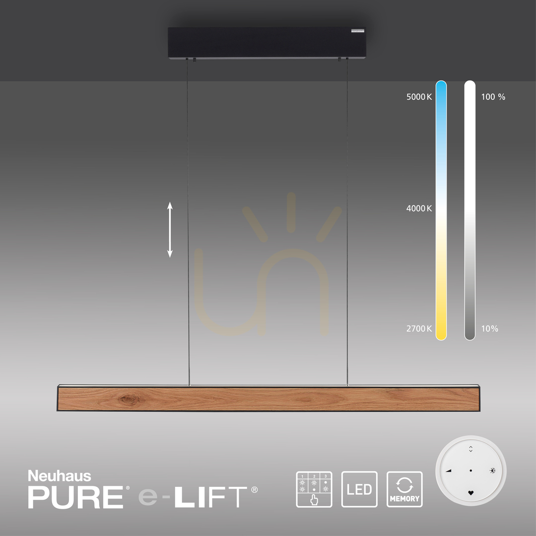 Náhled PURE E-MOTION 2570-79 Černé závěsné svítidlo s 2 LED diodami PURE E-MOTION 2570-79 Černé závěsné svítidlo s 2 LED diodami